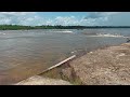 Sonido Natural Agua Selva para estudiar y meditar