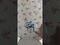 bi video icin degmedi #hotwheelscollectors #automobile #ytdayibenionecikarnolur #hotwheels