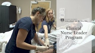 AU College of Nursing  Clinical Nurse Leader Program