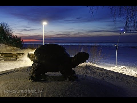 Video: Bruņurupucis ir rāpulis ar visilgāko mūžu