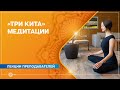 «Три кита» медитации. Александра Штукатурова