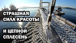 Страшная сила и цепной сплесень