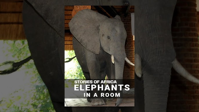 Dachniy prospekti yaqinidagi Sankt-Peterburg fohishalari