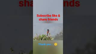 Scarlet Minivet-Birds-@Wildlife Zone-#shorts