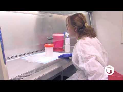 კორონავირუსის რამდენი შემთხვევა გამოვლინდა კახეთსა და გურჯაანის სოფლებში?