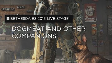Fallout 4 – Dogmeat & Other Companions (PEGI)