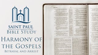 Harmony of the Gospels [Betrayal and Arrest] | Bible Study (Fr. Matthias Shehad)