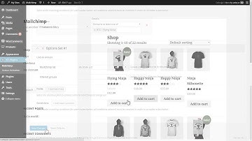 WOOCOMMERCE MAILCHIMP