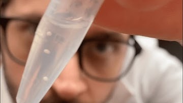 Bonds Biosystems Corporation - 2024