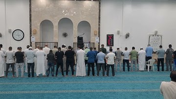 استمتع بتلاوة هادئةصوت جميل صلاة الفجر يوم الجمعة 19/9/2025فضيلةالشيخ هاني نورالدين_سورة ابراهيم19