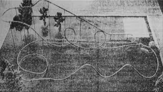 Python (onride/offride) (1981) Wealth