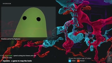 Primer - first 5 videos (simulations)