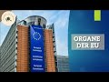 Organe der EU einfach erklärt - Institutionen der EU | Merkmale, Aufgaben und Sitz