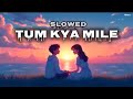 TUM KYA MILE (SLOWED) ARJIT SINGH,SHREYA GHOSHAL | ROCKY AUR RANI KI PREM KAHANI | MUSIBURST