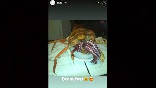 Free Brëakfast Yeat Type Beat 2022