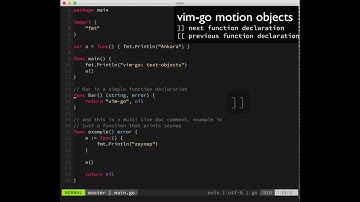vim-go: text motion objects