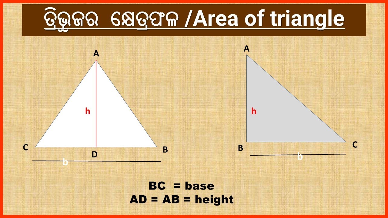How to find area of triangle examples. YouTube