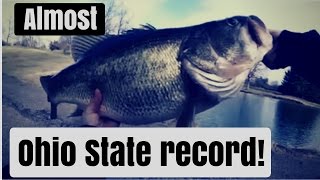 MONSTER 10 Pound, Ohio, Pond Bass Caught On a Chatterbait!!