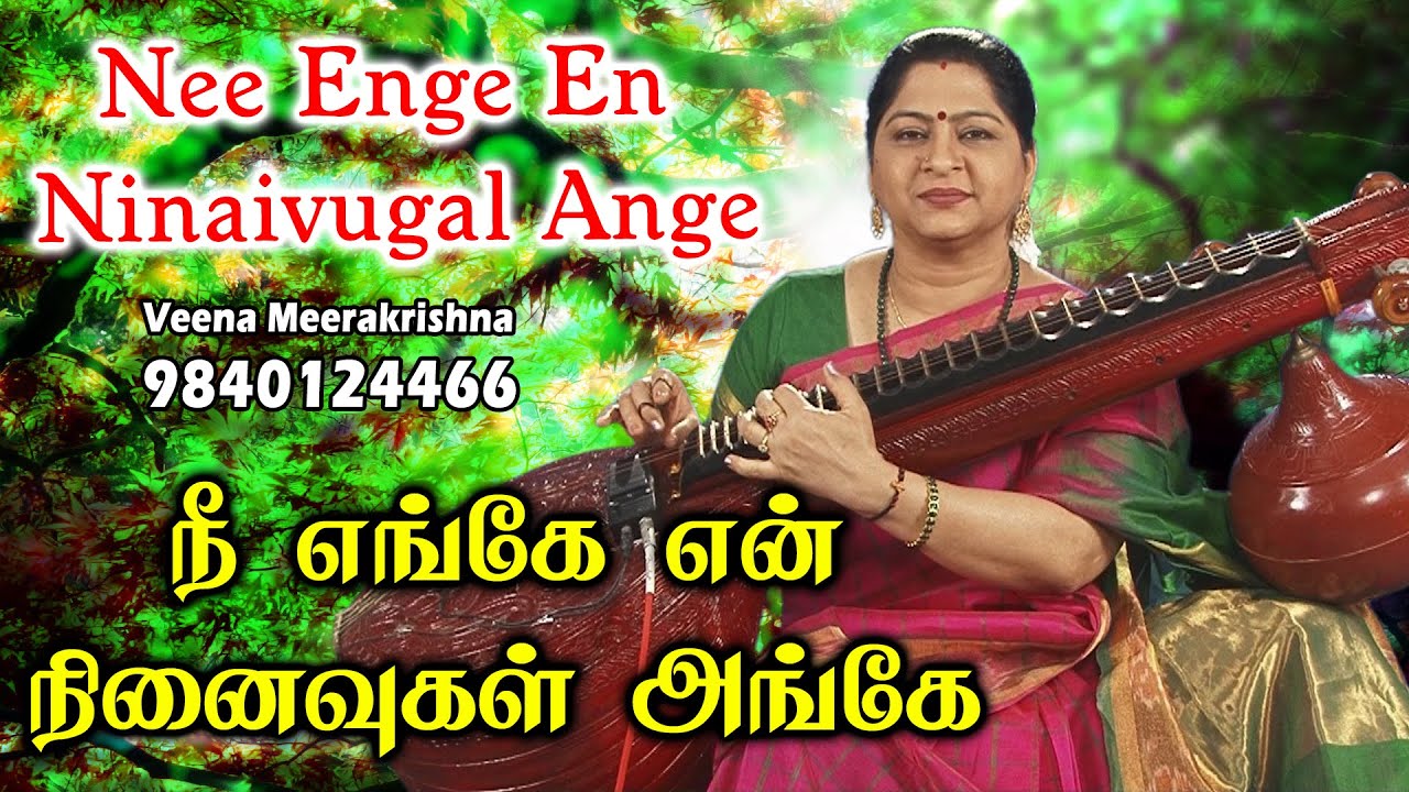 My memories are there where you are Nee Enge En Ninaivugal Ange   Film Instrumental by Meerakrishna