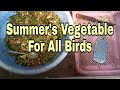 Summers softfood for all birds vegetable softfood kase banaye