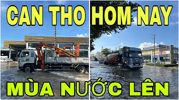 CẦN THƠ MÙA NƯỚC LÊN KV BÌNH THỦY TP CẦN THƠ 🌺11/9/2025🌺cần thơ ký sự