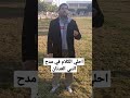 احلي الكلام في مدح النبي العدنان