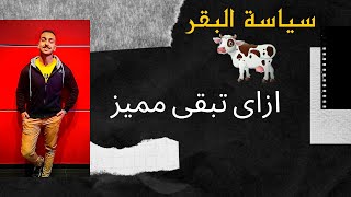 ازاى تبقى مشهور ومميز ب3 خطوات فن التسويق الذكى (سياسة البقر) 