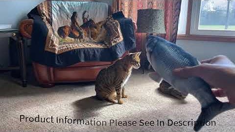 Potaroma Cat Toys Flopping Fish Review: Interactive Fun for Cats with SilverVine and Catnip!