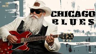 Chicago Blues Playlist - Deep Electric Blues Guitar & Soulful Blues Music | B.B. King Inspired
Blues music : brings you into the atmosphere of midnight with slow Chicago blues guitar, soulful electric blues, deep blues grooves, and timeless guitar melodies. Enjoy a powerful Chicago blues experience created for late-night listening, night drives, quiet evenings, and anyone who loves classic blues guitar.
This live stream features original blues music inspired by the legendary style of B.B. King. It is not an official B.B. King recording and is not affiliated with the B.B. King Estate or any official representatives.
๐ธ Chicago Blues Music
๐ต Slow Chicago Blues Guitar
๐ถ Soulful Electric Blues
๐ Midnight Blues Vibes
๐ฅ Classic Blues Guitar
๐ Night Drive Blues
๐ผ Live Blues Music 24/7
Enjoy the deep sound of Chicago blues guitar and let the music carry you through the midnight atmosphere.
If you enjoy Chicago blues, slow blues guitar, electric blues, classic blues, and soulful blues music, please Like, Subscribe, and turn on notifications for more original blues-inspired live music.
Keep the blues alive. ๐ธ๐ 13:00 PM
#ChicagoBlues #BluesMusic #BluesGuitar #SlowBlues #ElectricBlues #ClassicBlues #BBKingInspired #LiveBlues Chicago Blues Playlist - Deep Electric Blues Guitar & Soulful Blues Music | B.B. King Inspired