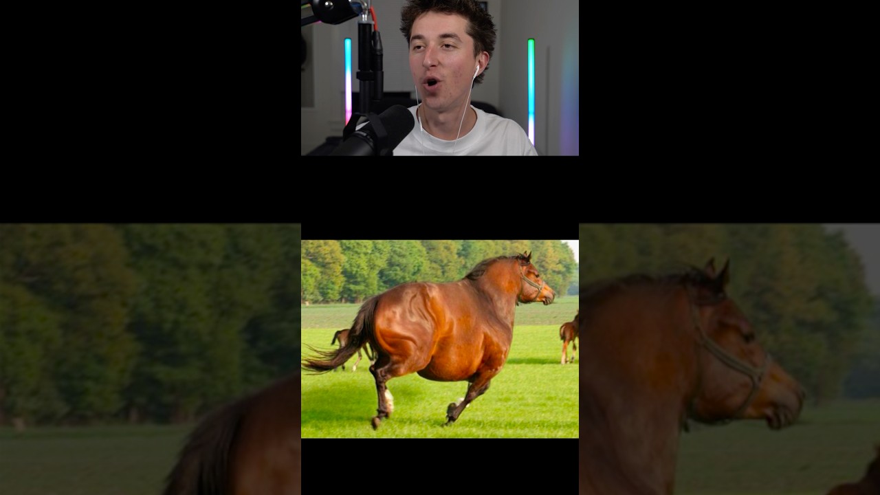 animals if fat 😱