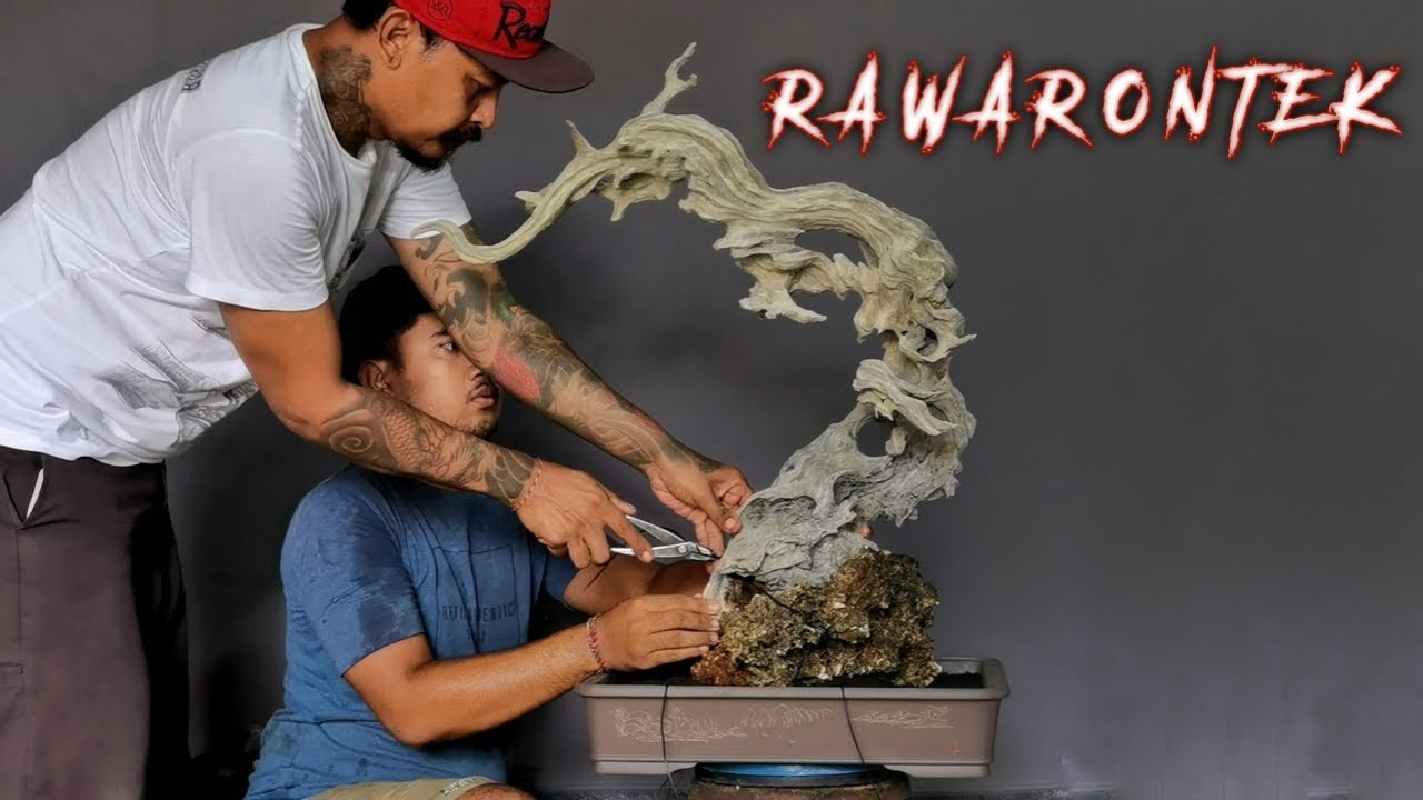 Природные явления в искусстве бонсай