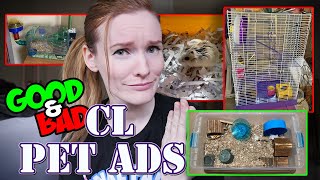 Parents are to Blame for This! | Craigslist Pet Ads | Munchie's Place