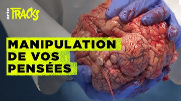 Comment protéger ses pensées ? Réponse avec le pionnier des neurodroits Rafael Yuste | Tracks | ARTE