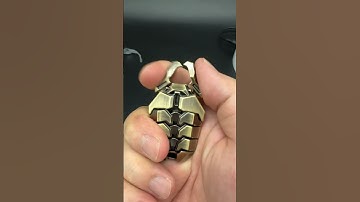 Metal scarabell-shaped fidget toy. What else do you think it