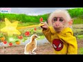 Baby monkey Obi uses super power to fix car and pick fruit for duckling