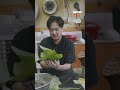 【旅の始まりは朝食から】-ラオスの朝食・米編-