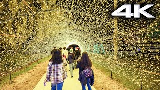 Christmas Lights Walkthrough in 4K | Dazzling Nights, Leu Gardens Orlando Florida 2023