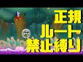 空飛ぶペンギン【wiiマリオスーパープレイ】