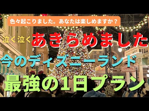 【ディズニーランド】結局、あきらめました。大混雑日！最強の1日プラン完全版 クリスマスのリアルレポート #ディズニーvlog