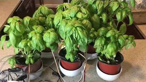 Raspberry Pi Smart Garden System Prototype Demo