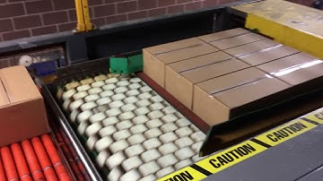 Sigma Equipment Used PAI 6251R High Level Infeed Palletizer H9180