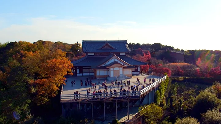 DJI -「Autumn Color in Kyoto」 - DayDayNews