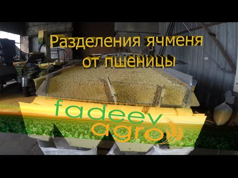 Видео: Какво може да замести пшеничното брашно при печенето
