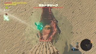 依頼を受けて モルドラジークから盾サーフィンで逃げてみた Youtube 依頼を受けて モルドラジークから盾サーフィンで逃げてみた Youtube