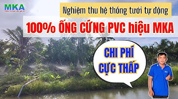 Nghiệm thu hệ thống tưới tự động 100% bằng ống cứng PVC hiệu MKA | Chi phí cực thấp, béc phủ tới 8m