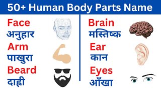 English मा मानव शरीरका अंगहरुको नाम | Human Body Parts Name Nepali & English | Spoken English class