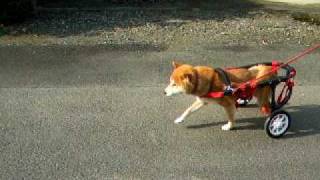 20100626.AVI