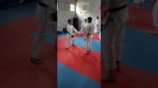 إيبون كوميتيه ippon Kumite