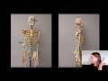 Anatomy Directional Terms Quiz