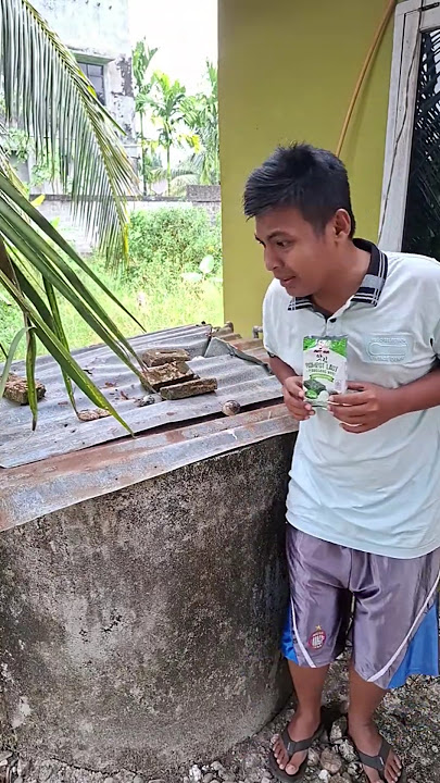 Hal yang Ku Takuti #shorts #trending #funny #subscribe